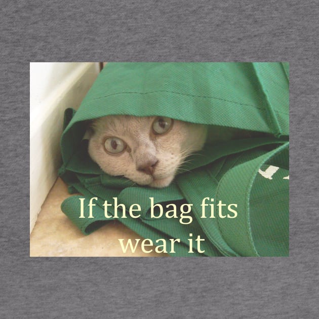 Funny cat picture, if the bag fits wear it by Fantasyart123